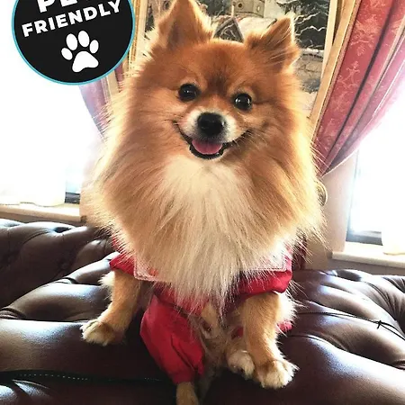 елегант лукс Хотел Банско